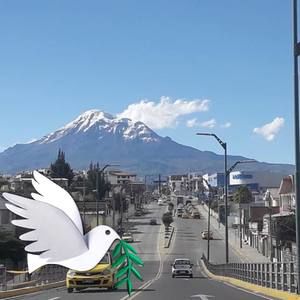 Meet your Posher, Gilberto